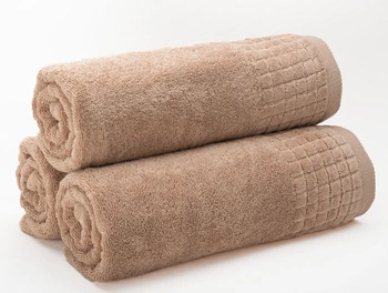 Ręcznik Larisa Beżowy 50x100